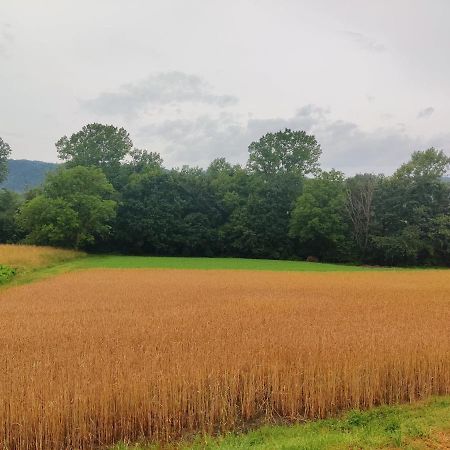 Mioglia Agriturismo Munarin Caterina מראה חיצוני תמונה