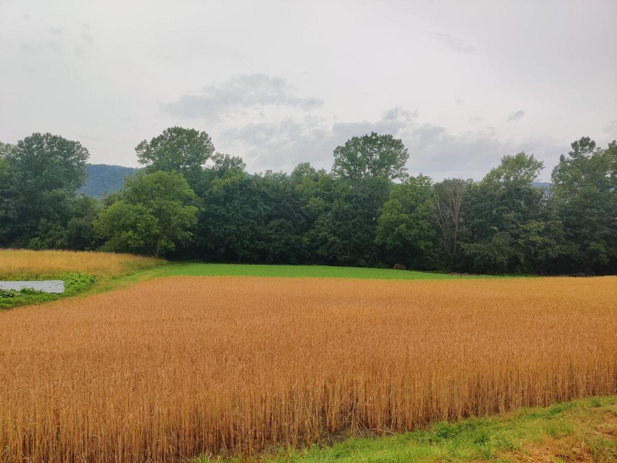 Mioglia Agriturismo Munarin Caterina מראה חיצוני תמונה